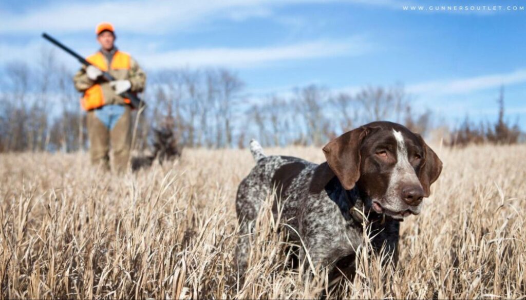 hunting with dog