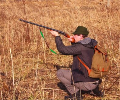 hunting with a rifle in the tall grass