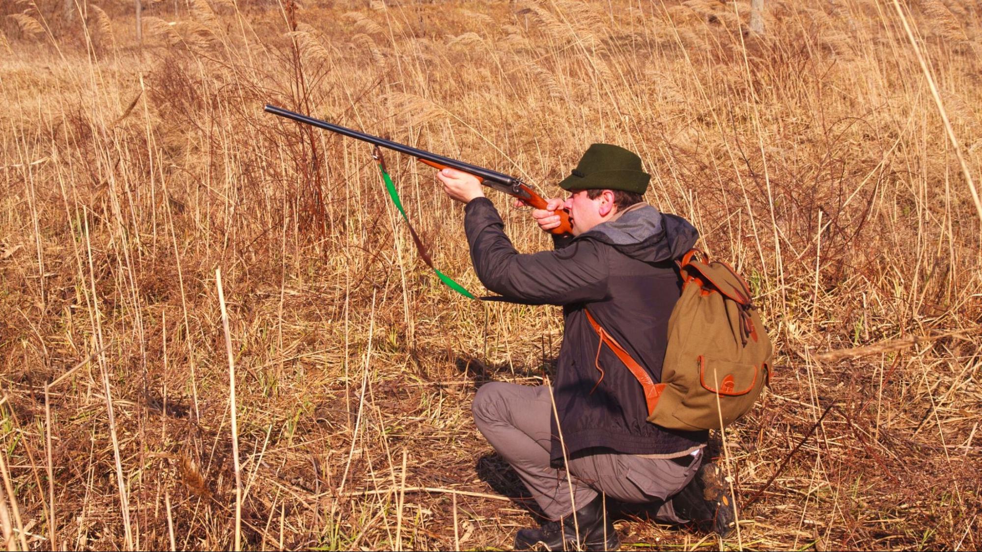 hunting with a rifle in the tall grass